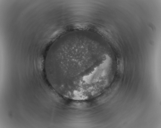 X0000113280712200910131005