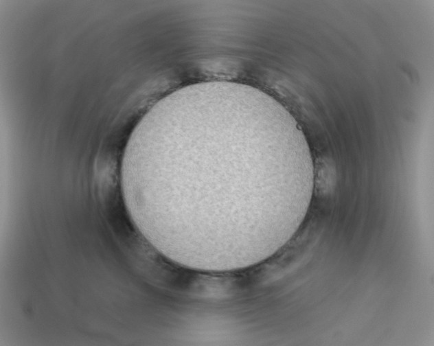 X0000113280713200910131005