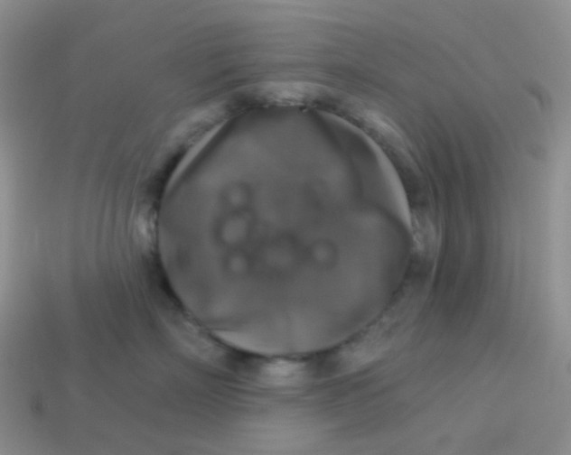 X0000113280718200910131005