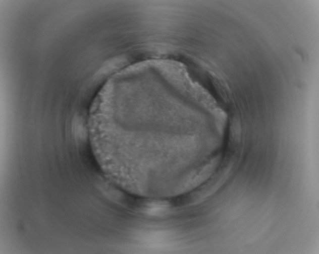 X0000113280719200910131005