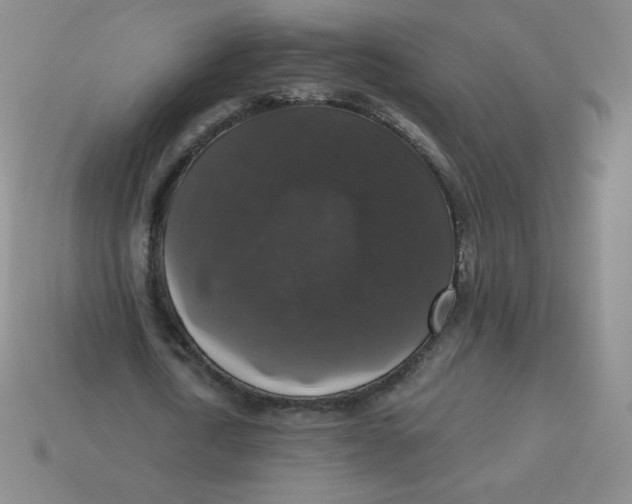 X0000113280722200910131004