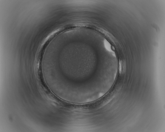 X0000113280723200910131004