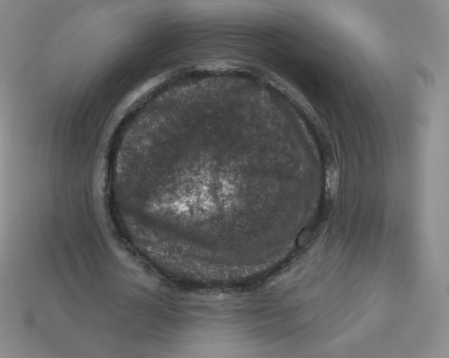 X0000113280724200910131004
