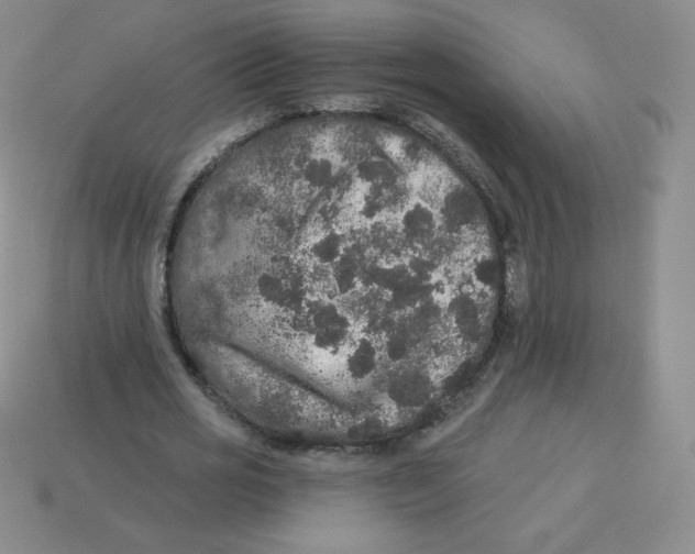 X0000113280725200910131004