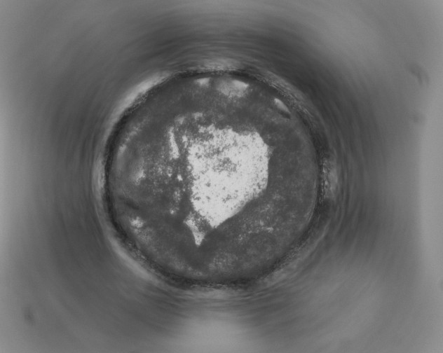 X0000113280726200910131004