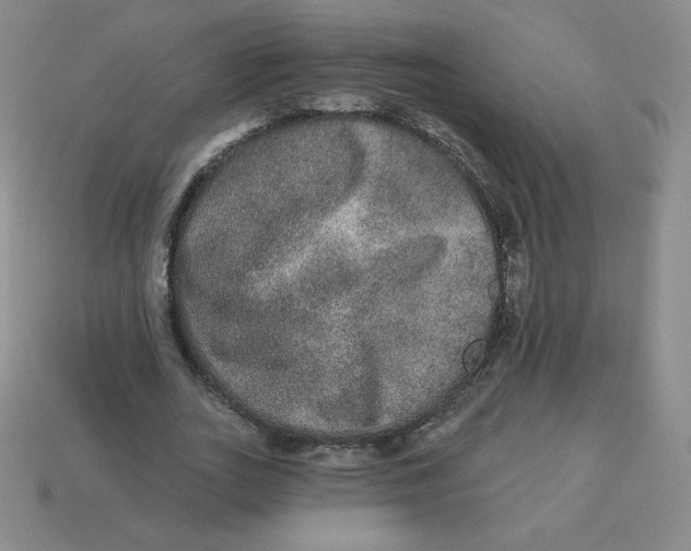X0000113280727200910131004