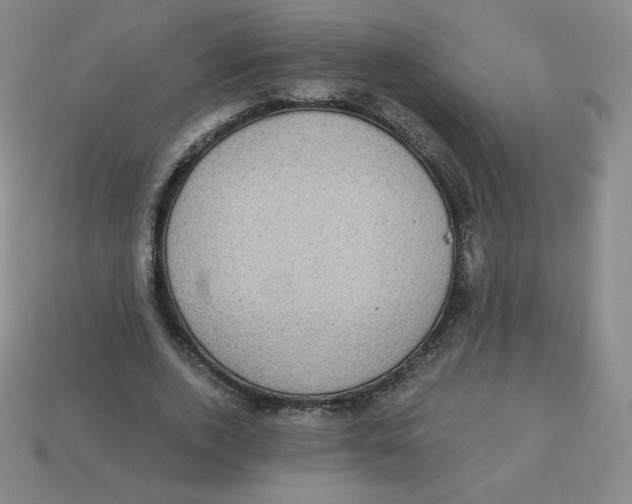 X0000113280728200910131004