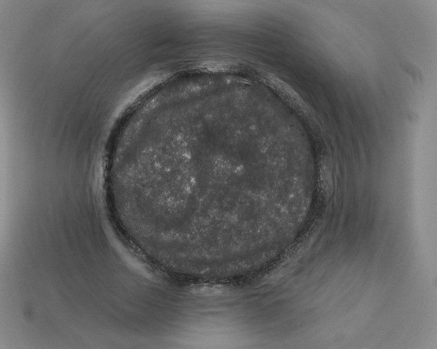 X0000113280730200910131004
