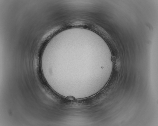 X0000113280732200910131004