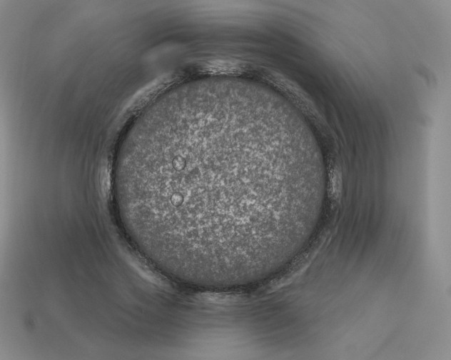 X0000113280733200910131004