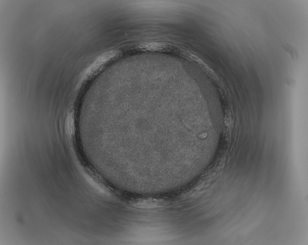 X0000113280734200910131004