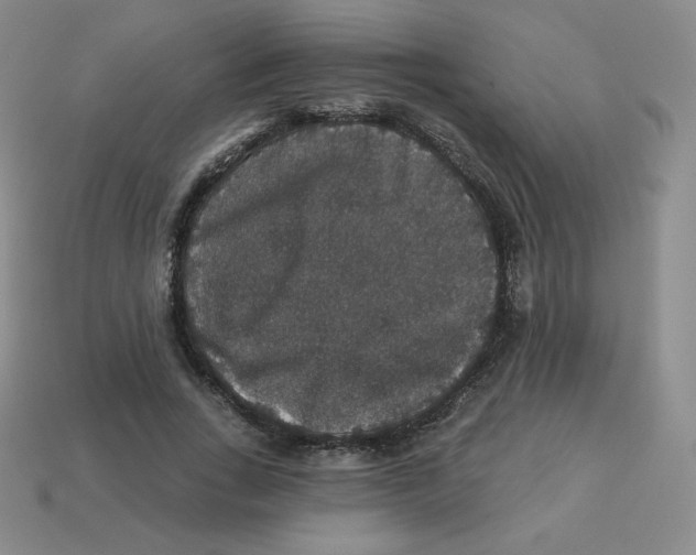 X0000113280735200910131004