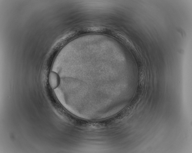 X0000113280736200910131004