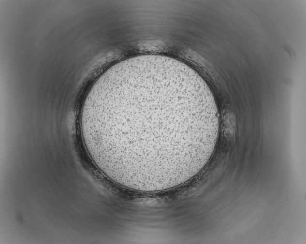 X0000113280738200910131004