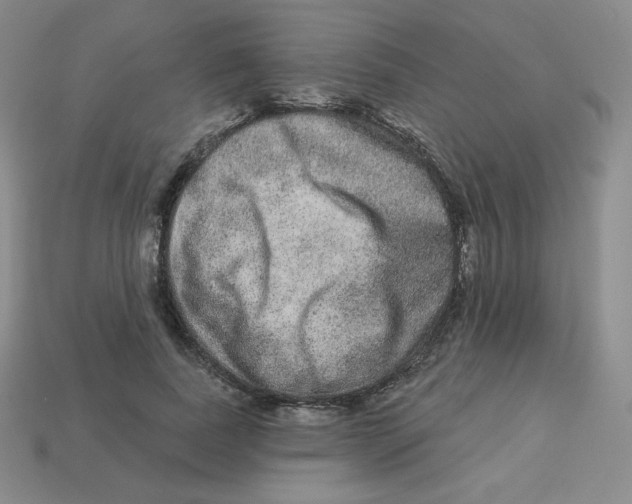 X0000113280739200910131004