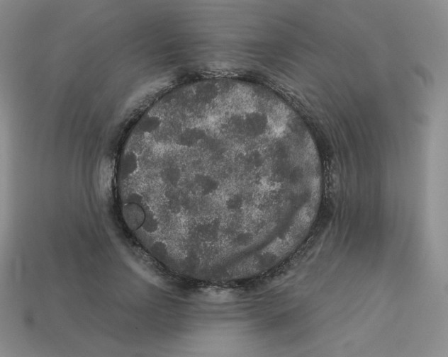 X0000113280742200910131004