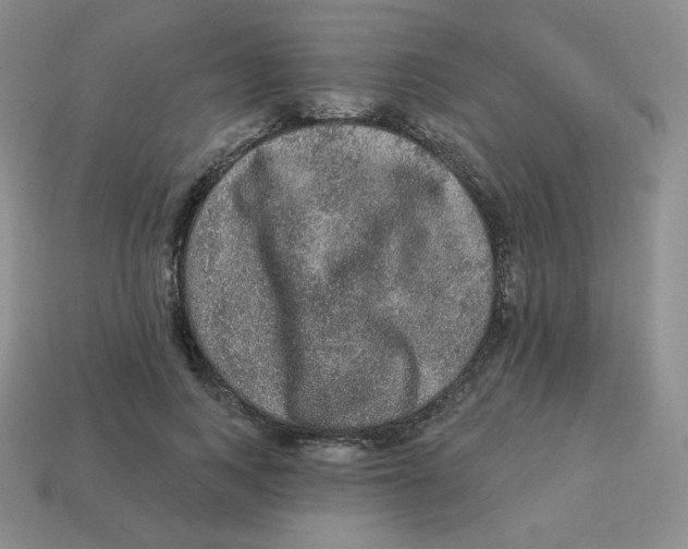 X0000113280743200910131004