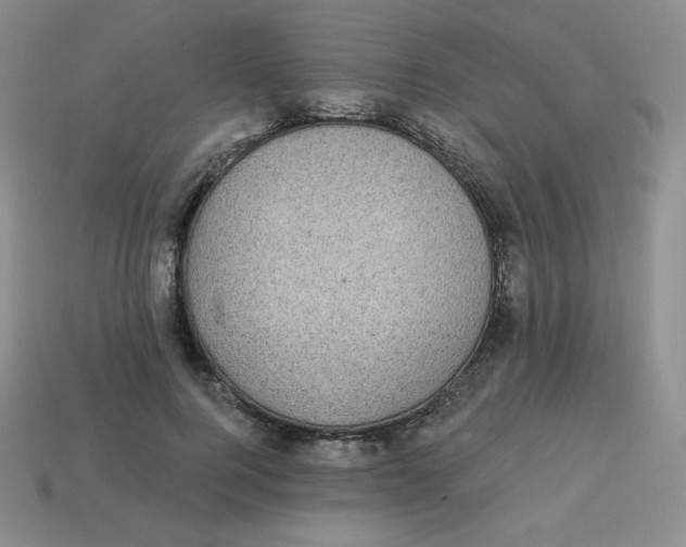 X0000113280744200910131004