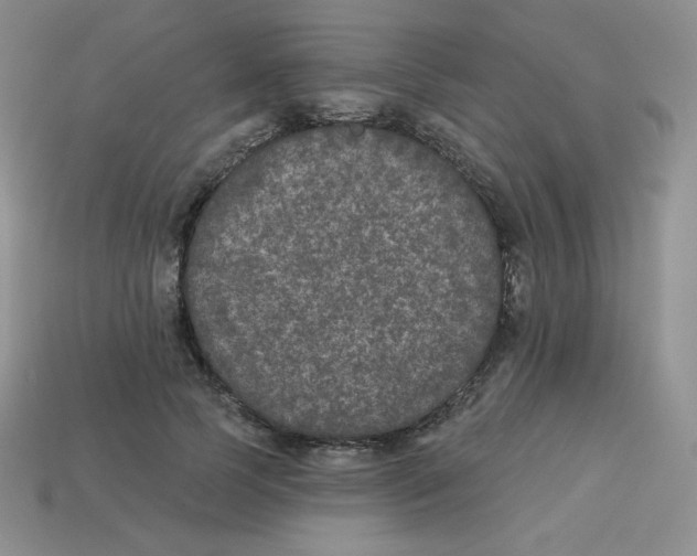 X0000113280745200910131004