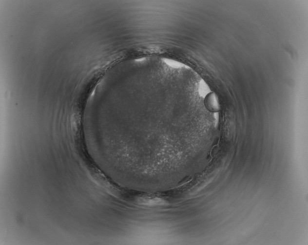 X0000113280747200910131004