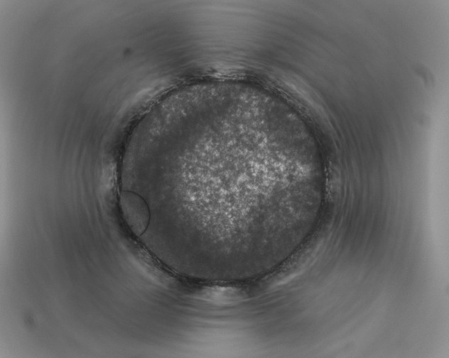 X0000113280748200910131004