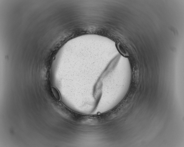 X0000113280750200910131004