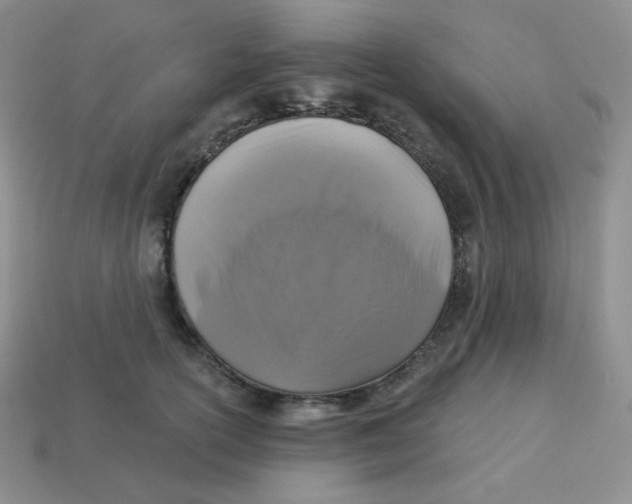 X0000113280754200910131004