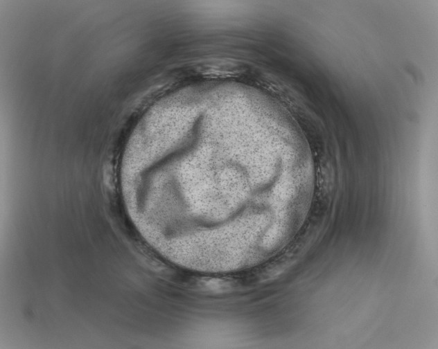 X0000113280755200910131004