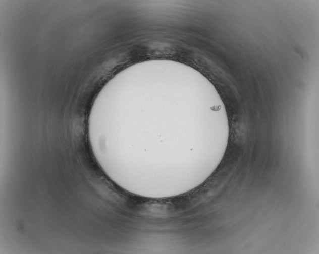 X0000113280756200910131005