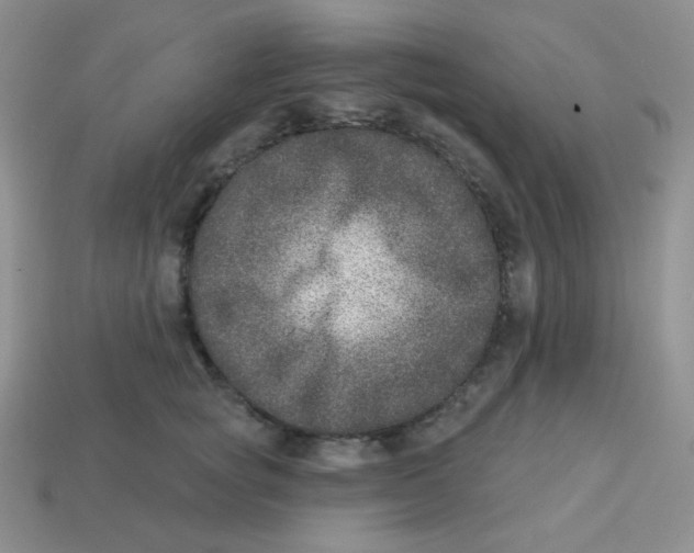 X0000113280757200910131005