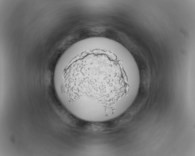 X0000113280758200910131005