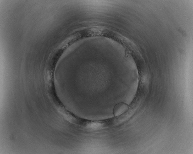 X0000113280759200910131005