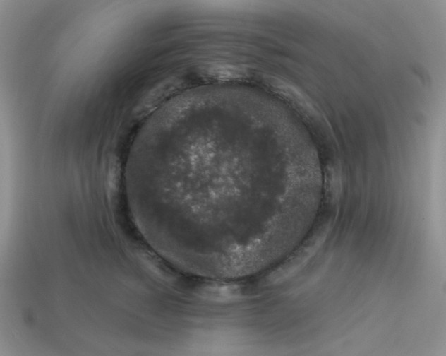 X0000113280760200910131005