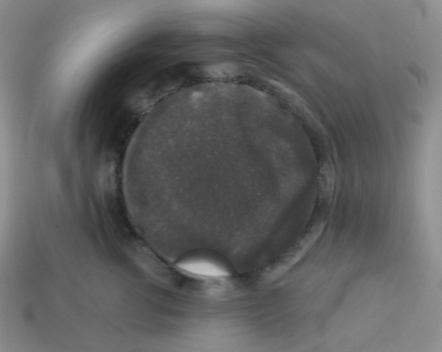 X0000113280762200910131005