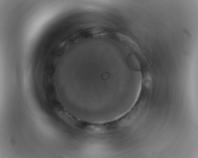 X0000113280763200910131005