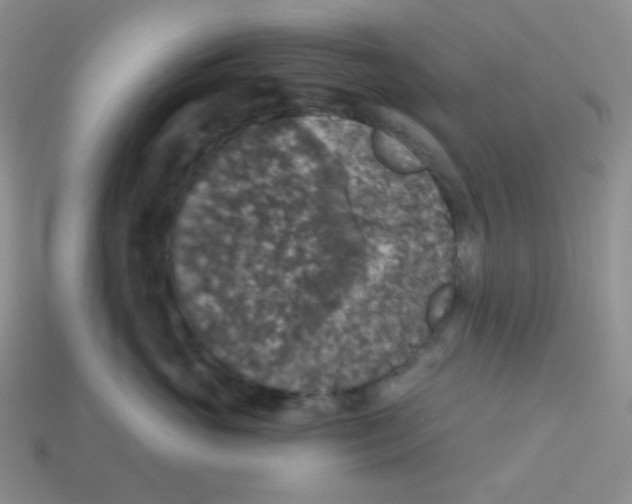 X0000113280765200910131005