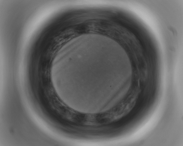 X0000113280766200910131005