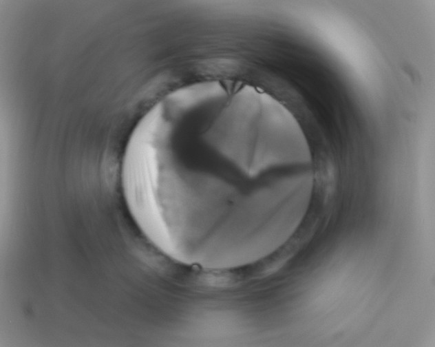 X0000113280767200910131005