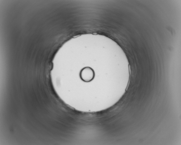 X0000113280768200910131005
