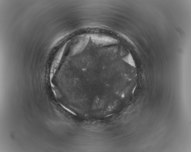 X0000113280775200910131004