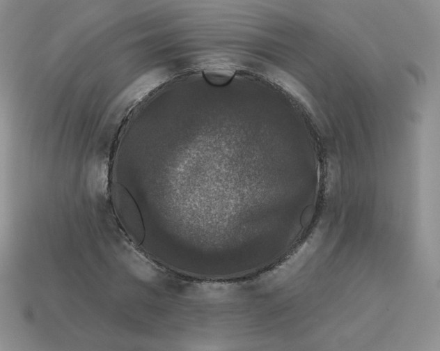 X0000113280777200910131004