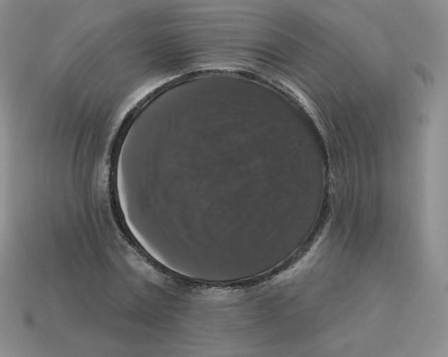 X0000113280779200910131004