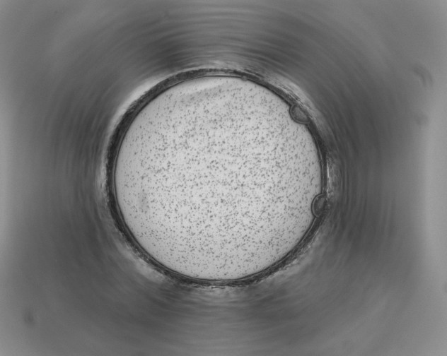 X0000113280780200910131004