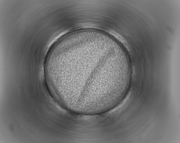 X0000113280782200910131004