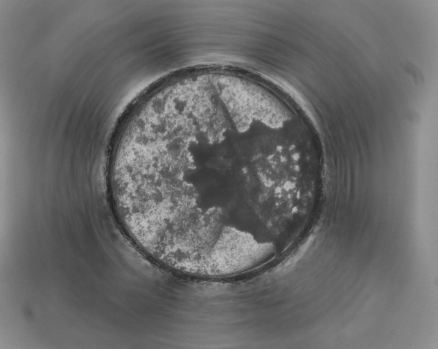 X0000113280783200910131004