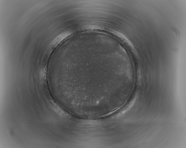 X0000113280785200910131004