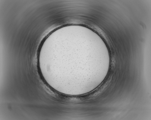 X0000113280787200910131004
