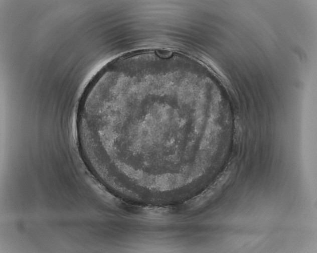 X0000113280788200910131004