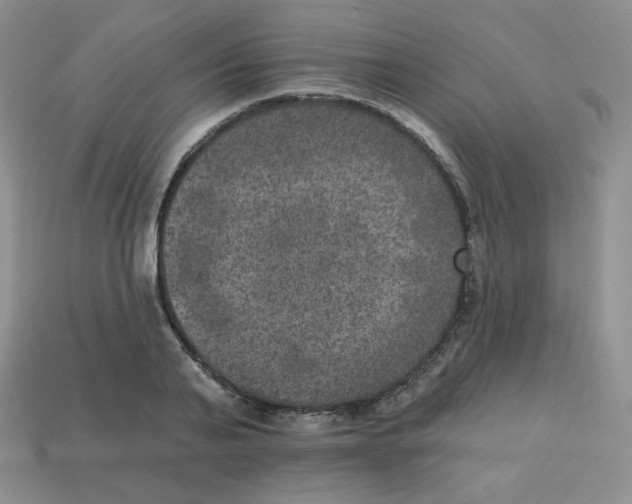 X0000113280791200910131004
