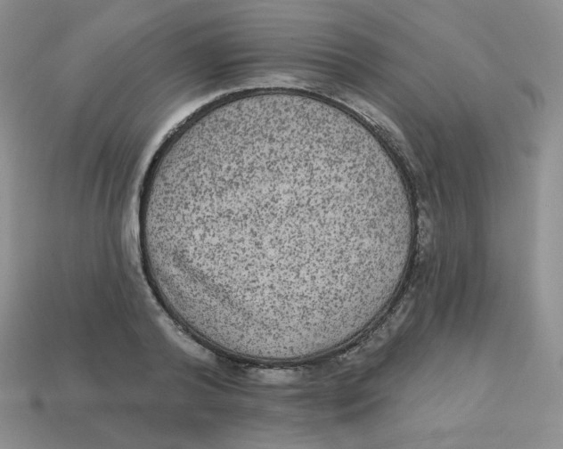 X0000113280792200910131004